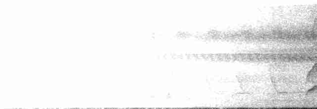 Tangara cyanictère - ML292435191
