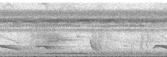 Bluish-gray Saltator - ML29244