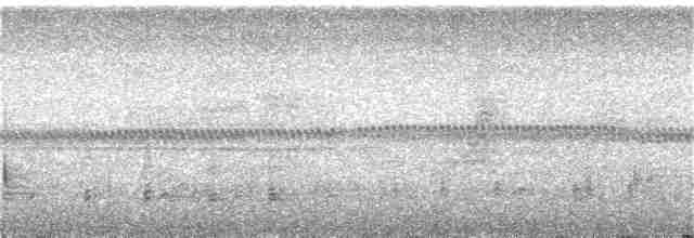 Lyre-tailed Nightjar - ML292458451