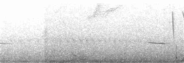 Gray-mantled Wren - ML292475091