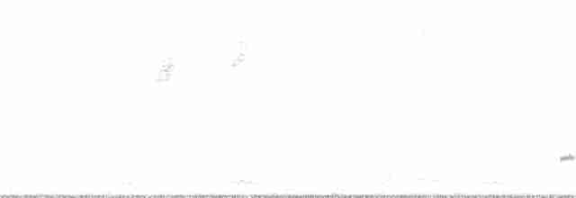 Small-billed Tinamou - ML292487691