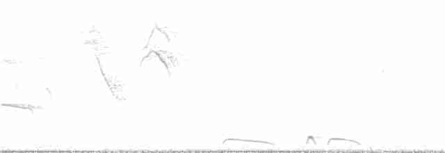 holoubek šupinkový - ML292487711