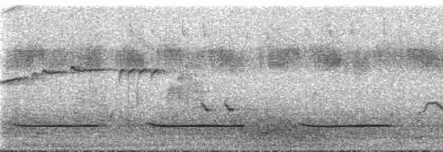 Small-billed Tinamou - ML292535