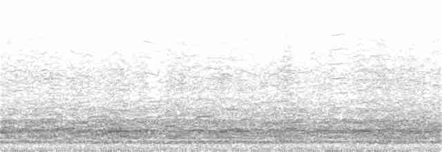 Kanadako branta (occidentalis/fulva) - ML292565011