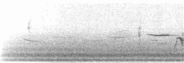Дрізд-короткодзьоб плямистоволий - ML292639841
