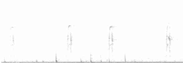 Hairy Woodpecker - ML292756481