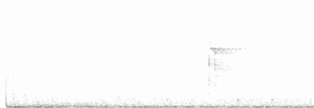 Sert Tüylü Ağaçkakan [villosus grubu] - ML292819891