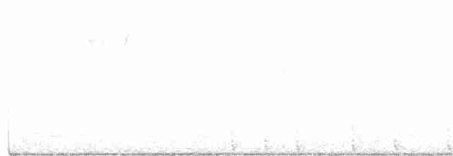 Sert Tüylü Ağaçkakan [villosus grubu] - ML292819901