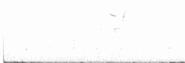 Шилоклювый дятел (auratus/luteus) - ML292819931