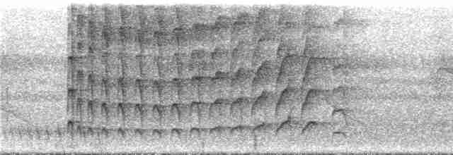 Тиран-інка буроголовий - ML292923