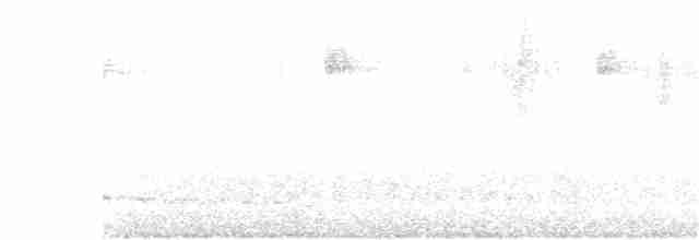Olivgrau-Ameisenvogel - ML293033531
