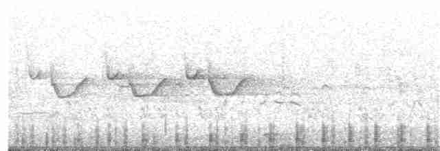 Common Merganser (Eurasian) - ML293080351