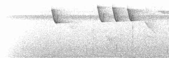 Бронзовый колибри-отшельник - ML293086971