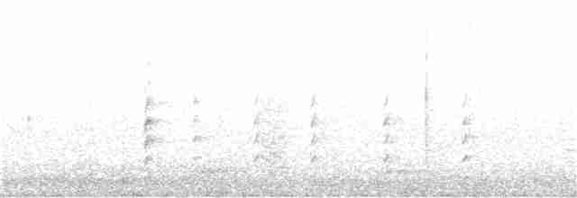 Weißbrustkleiber - ML293113821