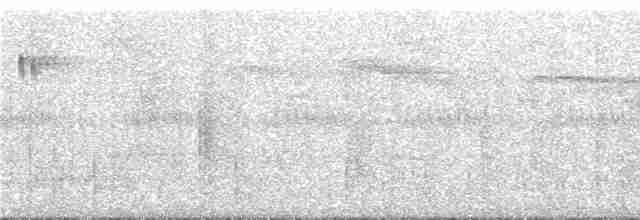 Пилоклювый колибри-отшельник - ML293156