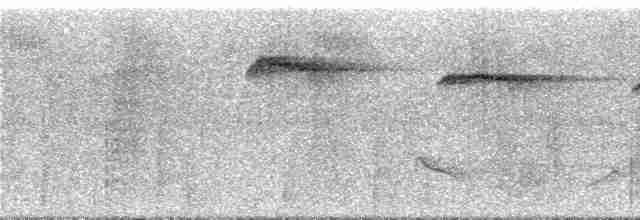 Пилоклювый колибри-отшельник - ML293160