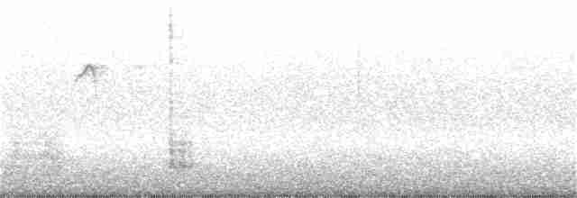 Origma des rochers - ML293164321