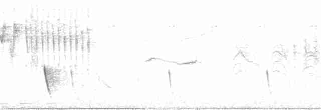 Gray Wren-Warbler - ML293217181