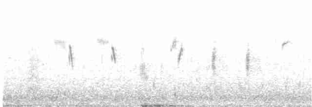 Mirlo Acuático Europeo - ML293239461