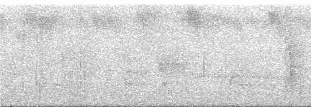 Kestane Karınlı Lacivert Öfonya - ML293241