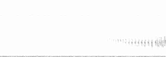 Weißbürzeltangare - ML293512181