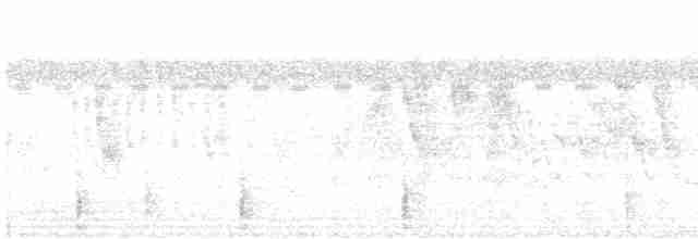Clamorous Reed Warbler - ML293530461