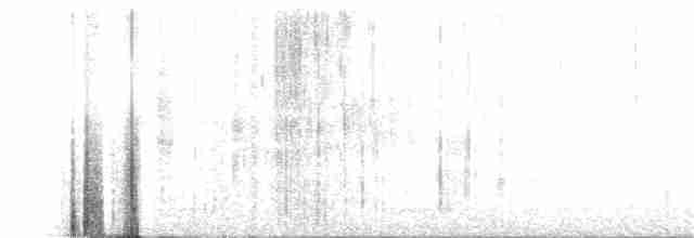 Weißbrauenschnäpper - ML293547251