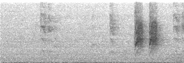 Eufonia Ventricastaña - ML293567