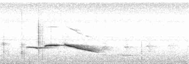 Бурошапочная тимелия-говорушка - ML293572331