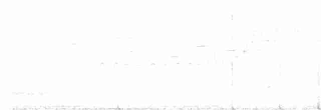 Триперстка тонкодзьоба - ML293673261