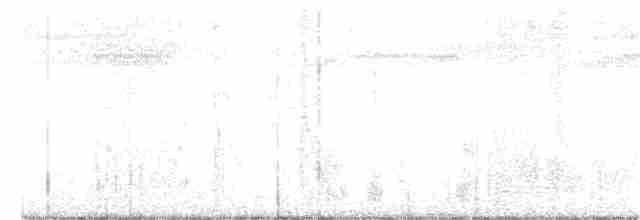 Spotless Crake - ML293721781