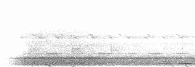 blånakkemaurpitta - ML293837