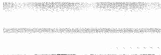 White-throated Nightjar - ML293872471