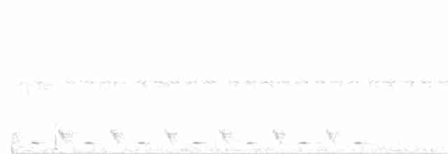 Dschungelnachtschwalbe - ML29413281