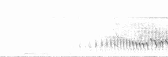 Weißbürzeltangare - ML294148001