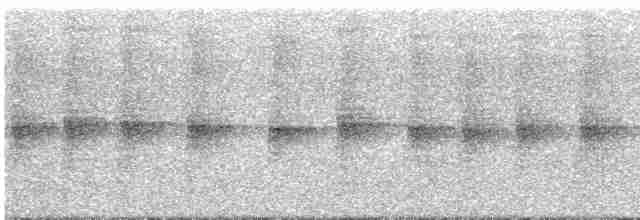 Пилоклювый колибри-отшельник - ML294152