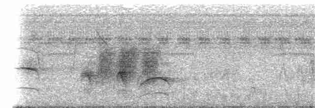 Kestane Karınlı Lacivert Öfonya - ML29422261