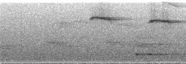 Пилоклювый колибри-отшельник - ML294306