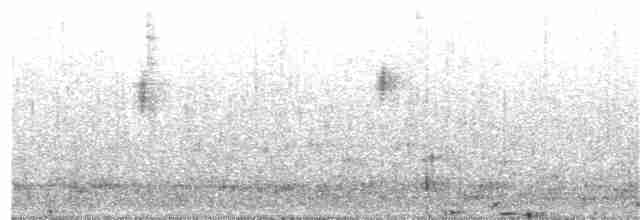 Mirlo Acuático Europeo - ML294384611