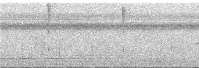 Colibri avocette - ML294402