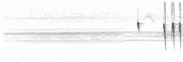 Weißscheitel-Kleintyrann (subcristata/straminea) - ML294489171