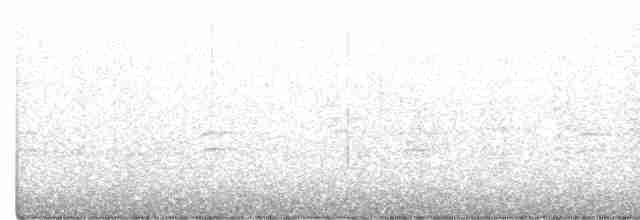 křivka bělokřídlá - ML294539211