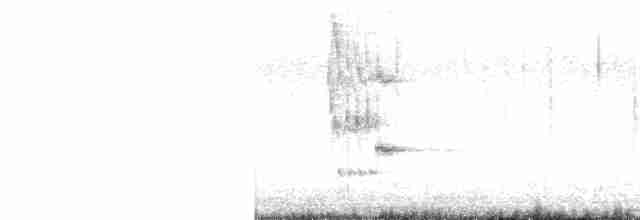 Loggerhead Shrike - ML294569351