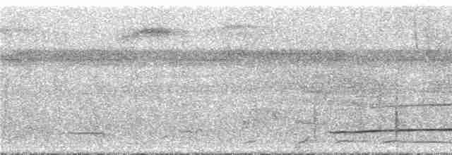 Лінивка-смугохвіст білогорла - ML294585