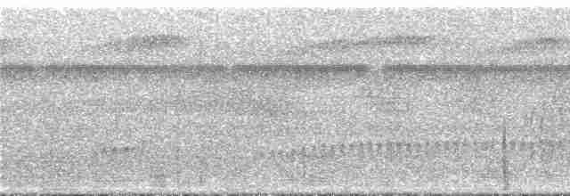 Лінивка-смугохвіст білогорла - ML294587