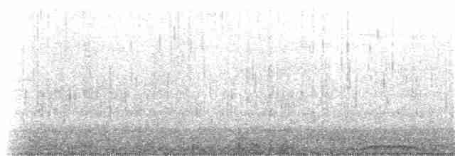 kajka mořská (ssp. dresseri) - ML294619051