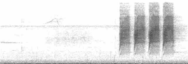 Kestane Karınlı Lacivert Öfonya - ML29471451
