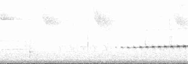 Spot-backed Antshrike - ML29471801