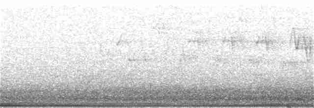 Troglodyte de Baird - ML294731141
