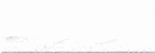 Kentucky Warbler - ML29473401
